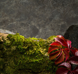 stones and moss for product presentation podium