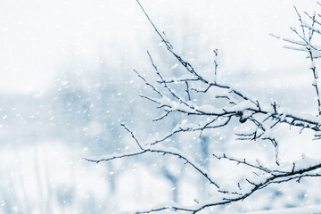 A snow-covered tree branch on a river bank during a snowfall