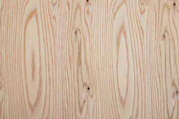 Background with wood texture. Natural wood pattern. Oak texture with knots