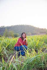 asian Woman agriculturist is on the sugarcane farm