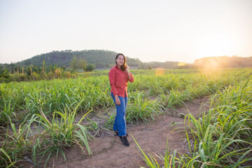 asian Woman agriculturist is on the sugarcane farm