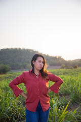 asian Woman agriculturist is on the sugarcane farm