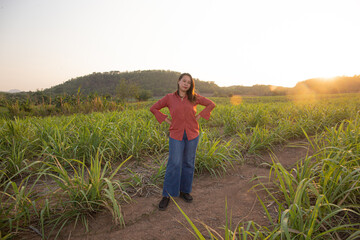 Young woman standing in sugarcane field with sunset in background.