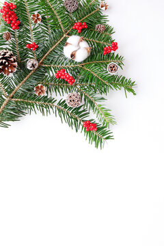 もみの木と木の実のクリスマスツリーイメージ　白背景　縦