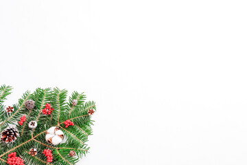 もみの木と木の実のクリスマスツリーイメージ　白背景