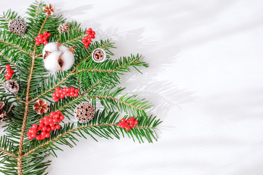 もみの木と木の実のクリスマスツリーイメージ　白背景