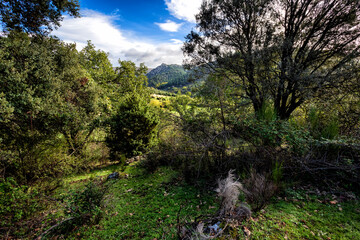 Sierra de Malagón