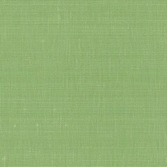 Light Green Linen Paper Texture