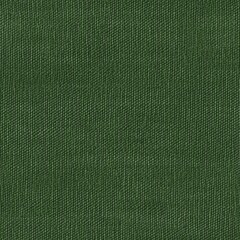 Fototapeta premium Green Denim Material Texture