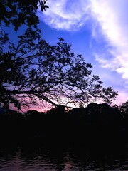 Fototapeta premium sunset over the river