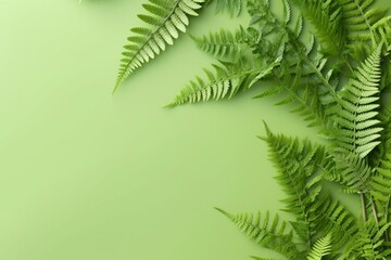 Fototapeta na wymiar Top view of ferns on green background in flat lay style. Greeting for women, mothers day, or summer sale banner. Generative AI