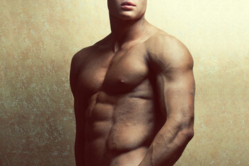 Male beauty and sport concept. Portrait of handsome muscular male model with amazing chest posing...