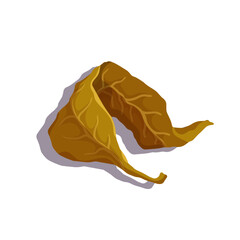 Colorful autumn leaf. Vector graphics.