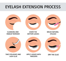 Eyelash extension process. Flat vector illustration. Infographic for lashmaker.