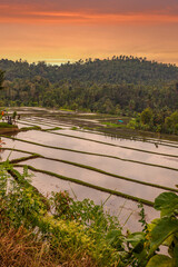 The magical rice terraces in the evening. Here you can see the unique buildings for rice cultivation. Teaching pool filled with water ready for rice cultivation in Bali