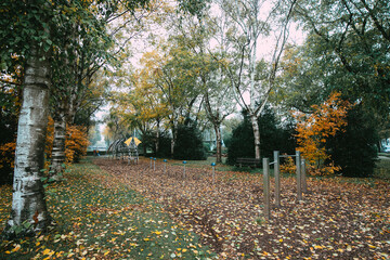 Playground covered in yellow autumn leaves