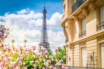 Fototapeta na wymiar famous Eiffel Tower landmark and Paris summer street, Paris citscape, France