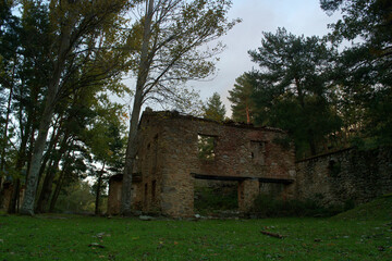ruina, dom, budynek, opuszczony, krajobraz, las, dom, architektura, porzucić, na zewnątrz,...