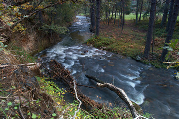 strumień, rzeka, środowisko, natura, kaskada, scena, las, woda, krajobraz, sceneria, jesień,...