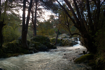 strumień, rzeka, środowisko, natura, kaskada, scena, las, woda, krajobraz, sceneria, jesień,...