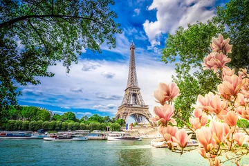 Poster Paris famous landmarks. Eiffel Tower with magnolia flowers and green tree over river, Paris France © neirfy