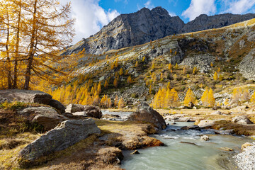 Locality Preda rossa in Val Masino, Valtellina, Italy, autumn view - 669618411