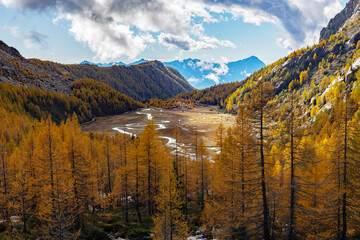 Locality Preda rossa in Val Masino, Valtellina, Italy, autumn view - 669618664