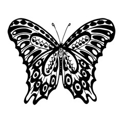 Beautiful butterfly sketch. Hand drawn line art illustration.