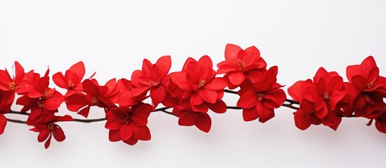 a collection of faux red blooms