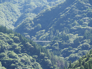 "Fujido" in Ueno Village and its surroundings