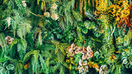 Group of background tropical green leaves texture. Natural green wallpaper and background. Green of Nature wallpaper..