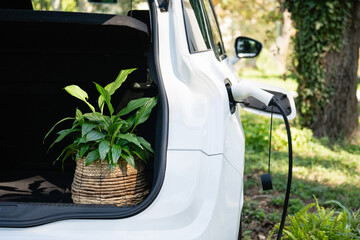 Electric car with flowers in the trunk charges near a country house © scharfsinn86