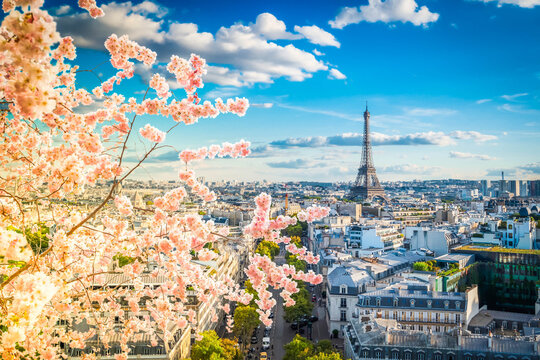 famous Eiffel Tower and Paris roofs at spring, Paris France