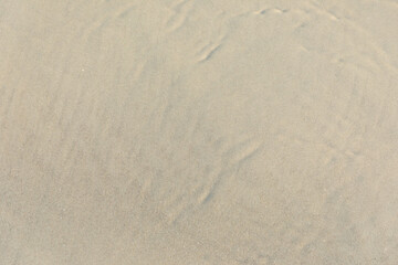 pattern of sand at the beach in harmonic structure