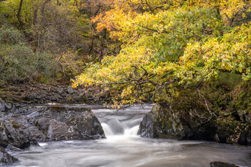 The powerful Falls of Leny, found within Queen Elizabeth Forest Park in Loch Lomond and the Trossachs National Park in the Scottish Highlands