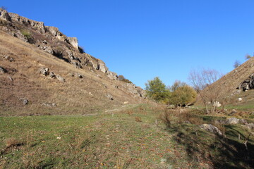 Fototapeta na wymiar A grassy hill with trees and rocks