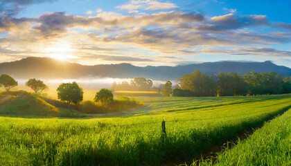 Sunrise View of Lush Farmland A Serene Morning Scene