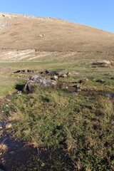 Fototapeta na wymiar A grassy hill with rocks