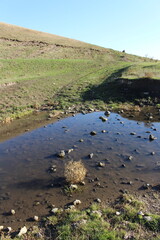 A river running through a grassy area