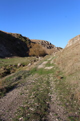Fototapeta na wymiar A grassy hill with a dirt path