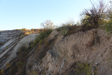 A rocky hill with trees