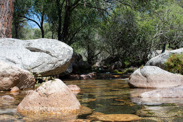 The Green Pool in La Pedriza, Madrid, Spain