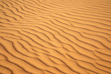 Red sand desert