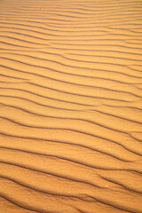 Red sand desert