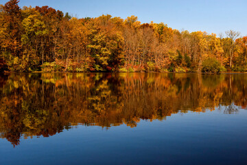 Tree fall colors on a lake