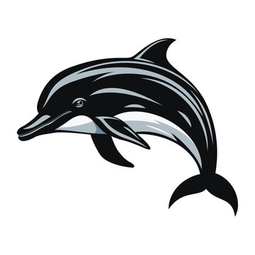 Dolphin isolated on white background. Vector illustration. 
