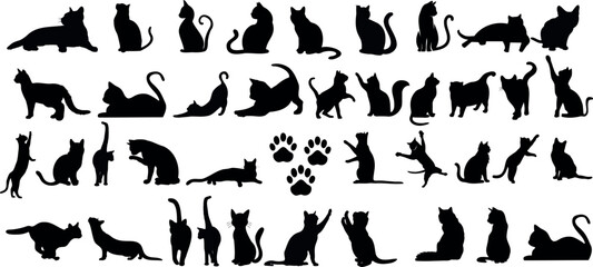 Cat Silhouettes Vector Illustration, perfect for Halloween, cat lovers. Features various cat poses, paw prints. Ideal for pet, animal, feline, domestic, house cat themes - obrazy, fototapety, plakaty
