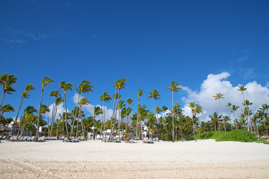 Bavaro beach, Punta Cana, Dominican republic