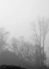 Obraz na płótnie Canvas Misty winter scene foggy morning
