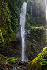 The Sekumpul Waterfall, a large waterfall in the middle of the jungle that falls into a deep green...